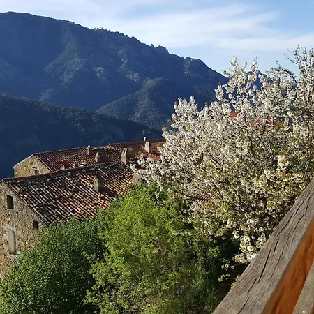 Maison Tuccarellu Holiday home Letia