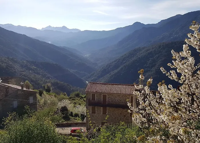 Holiday home Maison Tuccarellu Letia
