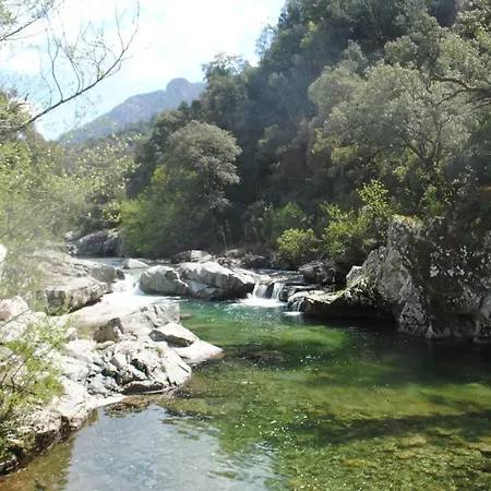 Maison Tuccarellu Hébergement de vacances