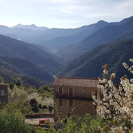 Holiday home Maison Tuccarellu Letia
