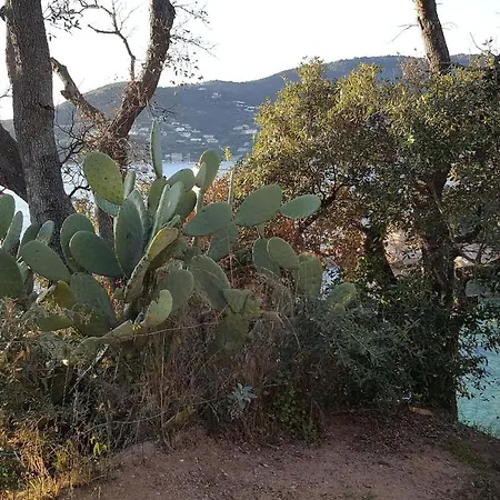 Maison Tuccarellu Letia