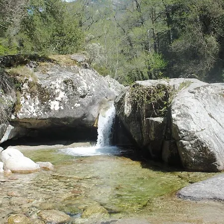 Maison Tuccarellu * Letia