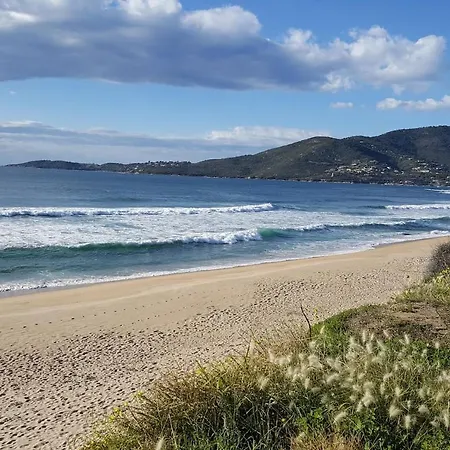 Maison Tuccarellu Hébergement de vacances *