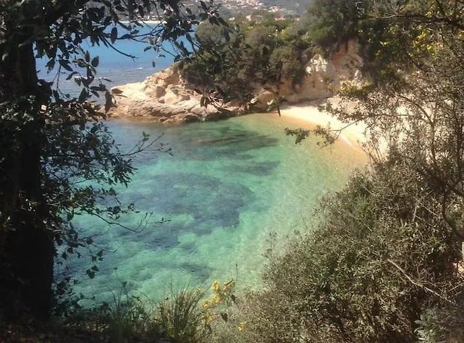 Maison Tuccarellu Letia